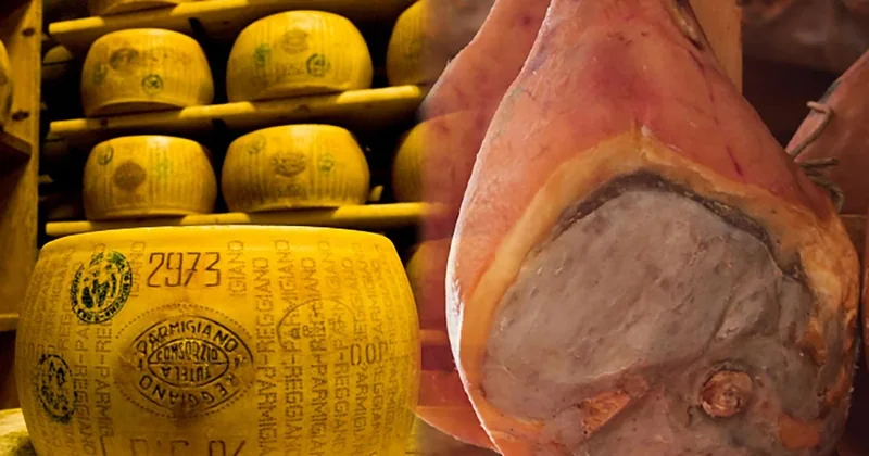 Fabrication du Parmigiano et jambon de Parme avec dégustation