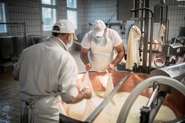 Two cheesemakers in white caps lifting a mass of curd out of a copper vat in a cloth