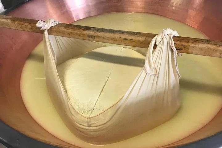 A cloth bundle of fresh curd tied to a wooden pole, hanging in a copper vat of whey
